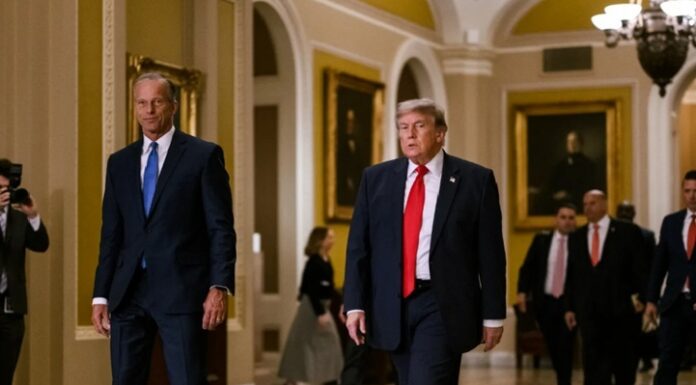 Trump perfila el fin de la extensión del T-MEC: Reuters