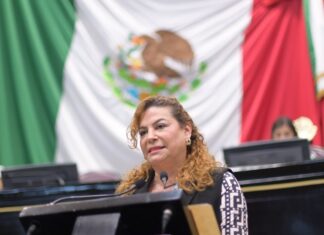 Propone diputada regular el retiro voluntario de iniciativas