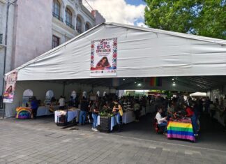 Expo Diversex celebra su quinta edición en Xalapa; participan 68 artesanos y emprendedores.