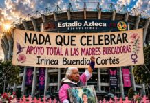 Yo no puedo celebrar: Irinea Buendía