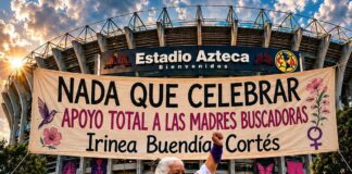Yo no puedo celebrar: Irinea Buendía