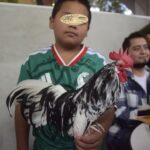 Xalapa será sede de la primera Convención Nacional de Aves 2026.