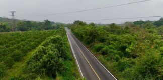 Veracruz será beneficiado con trenes, obras carreteras, caminos rurales y artesanales durante 2026: SICT.