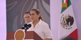 Se ha identificado el auto en que se llevaron a Roxana Guzmán, reporta Fiscal de Veracruz .