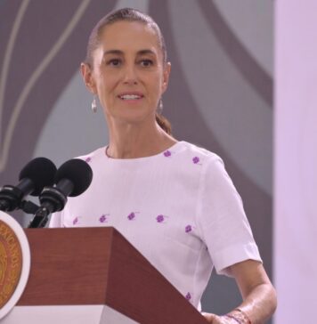 Prioritario localizar a Roxana Guzmán antes de determinar las causas de su privación de la libertad: Presidenta Sheinbaum