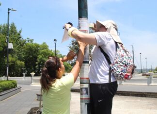 Colectivos de búsqueda colocan fichas y recompensas en el parque Juárez de Xalapa