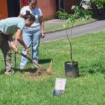 Organizaciones ambientales se sumaron a familias buscadoras con jornada de reforestación en Xalapa