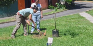 Organizaciones ambientales se sumaron a familias buscadoras con jornada de reforestación en Xalapa