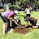 Buscadoras en Xalapa siembran árboles de memoria y resistencia .