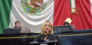 Exhortan a difundir, en español y lenguas indígenas, la Guía de Atención al Autismo