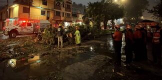 PC Veracruz mantiene monitoreo y atención coordinada por lluvias en el estado.