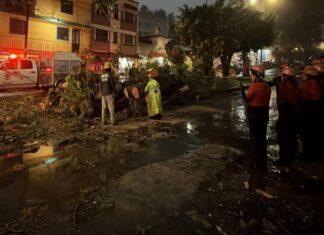 PC Veracruz mantiene monitoreo y atención coordinada por lluvias en el estado.
