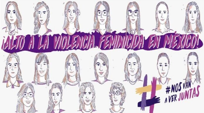 OCNF expresa preocupación por designación de Senadora en la Secretaría de las Mujeres