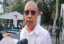 ¿La gran confusión? El FAFEF, la Reserva Técnica y el verdadero sostén del IPE.