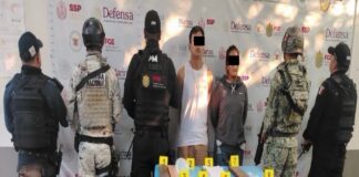 Acciones operativas en 21 municipios dejan 36 personas detenidas y el decomiso de 300 presuntas dosis de estupefacientes
