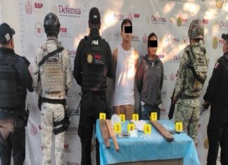 Acciones operativas en 21 municipios dejan 36 personas detenidas y el decomiso de 300 presuntas dosis de estupefacientes