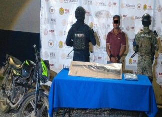 SSP y fuerzas federales aseguran 117 dosis de presuntos estupefacientes en 19 municipios