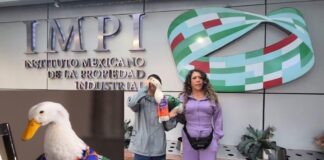 Propietaria del Pato Merlín inicia trámites ante el IMPI para registrar legalmente el nombre del ave