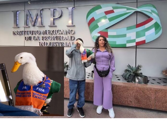 Pato Merlin IMPI