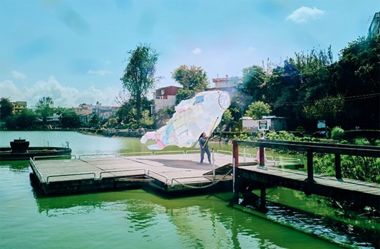 A través del arte, alumna UV fomenta rescate de Los Lagos