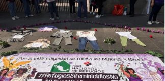 En espera de conocer plan de trabajo de la nueva Secretaria de las Mujeres: RNR