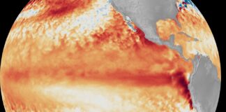 #EsOficial: El Niño se instala en el Pacífico; expertos advierten efectos extremos para el mundo
