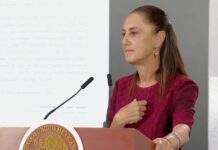 Investigar o perder credibilidad