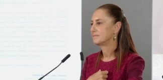 Investigar o perder credibilidad
