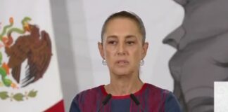 Se despliega el gabinete de seguridad para localizar a periodista desaparecida en Veracruz: Claudia Sheinbaum