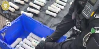 Autoridades hallan 59 artefactos explosivos en autobús de normalistas que viajaban para apoyar a la CNTE en CDMX