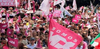 Madres buscadoras y activistas tendrán 20% de las candidaturas de Somos México;