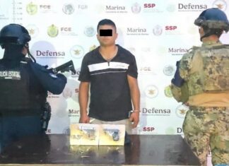 Evita SSP que alrededor de 200 dosis de estupefacientes lleguen a la población