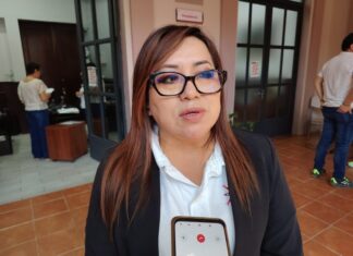 Refuerzan acciones contra el dengue en Xalapa; preparan nueva etapa de fumigación y vacunación antirrábica.