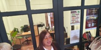 Rescata Salud Municipal a 19 gatitos en condiciones de hacinamiento; serán dados en adopción.