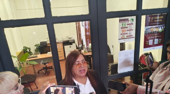 Rescata Salud Municipal a 19 gatitos en condiciones de hacinamiento; serán dados en adopción.