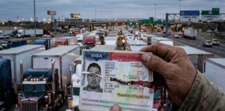 Estados Unidos endurece requisitos a choferes de carga y deja sin visa de trabajo a 20 mil operadores mexicanos