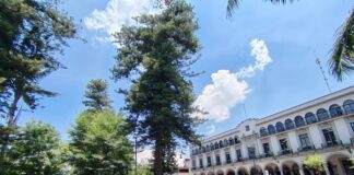 Acordonan área del Parque Juárez por riesgo de caída de ramas