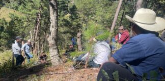 Desplazamiento forzado creció 300 por ciento en Sierra Tarahumara, denuncia Misión de Observación