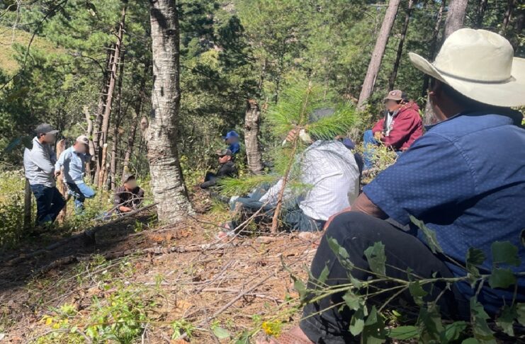 Desplazamiento forzado creció 300 por ciento en Sierra Tarahumara, denuncia Misión de Observación