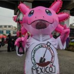 Los antisímbolos del Mundial