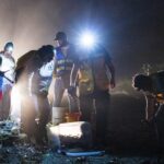 Protege Veracruz la migración del cangrejo azul con la Cangrejeada 2026