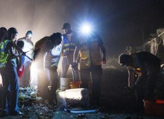 Protege Veracruz la migración del cangrejo azul con la Cangrejeada 2026
