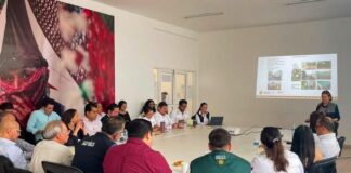 Veracruz suma esfuerzos para prevenir enfermedades transmitidas por vector