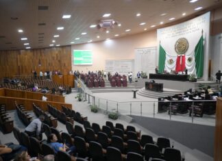Amplía Congreso catálogo de perfiles profesionales para titularidad del Orfis