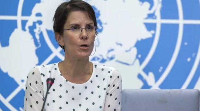 Organizaciones piden a la ONU investigar presunto informe falso de ONU Mujeres