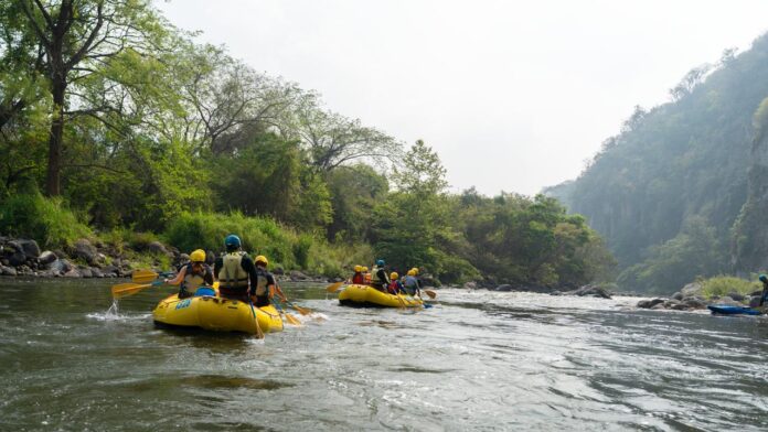IMG-20260701-WA0015