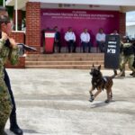 Veracruz referente nacional en capacitación K9, concluye 5.° diplomado táctico especializado