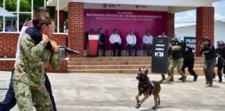 Veracruz referente nacional en capacitación K9, concluye 5.° diplomado táctico especializado