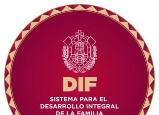 Ofrece CRISVER diagnósticos especializados de Electromiografía y Nasolaringoscopia Pediátrica