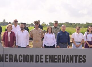 Encabeza Gobernadora destrucción de casi 800 kilos de drogas aseguradas en Veracruz